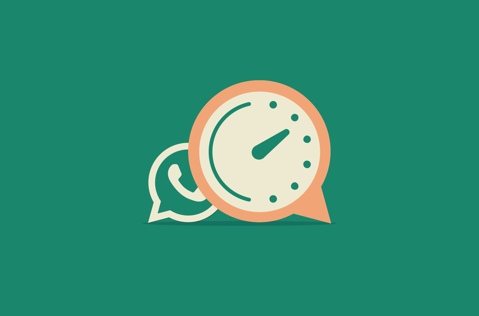 What number formats does WhatsApp Advanced Filter support?